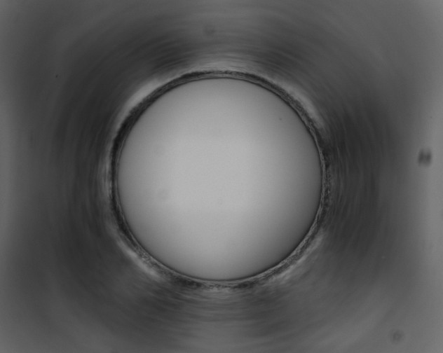 X0000101950982200807171129