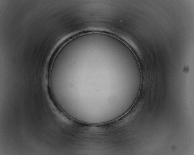 X0000101950984200807171129