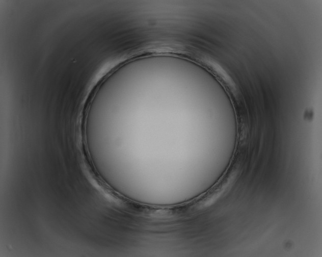 X0000101950986200807171129