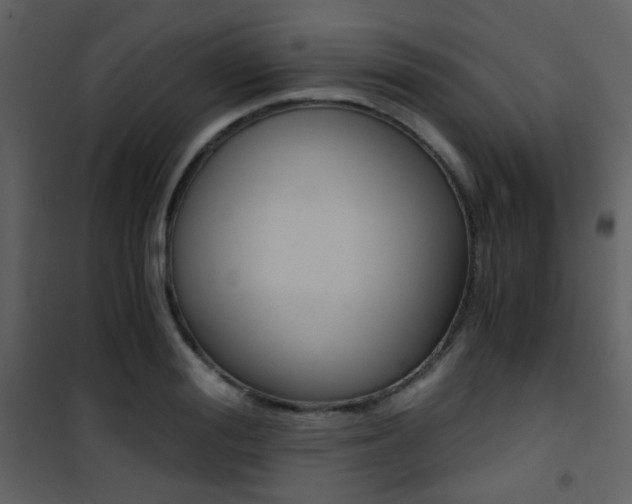 X0000101950988200807171129