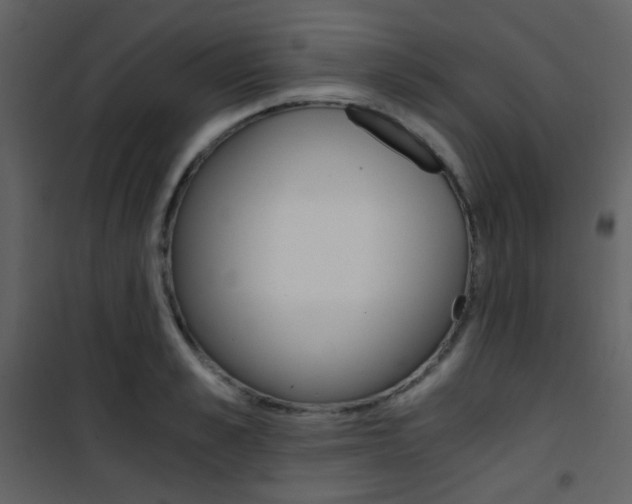 X0000101950989200807171129