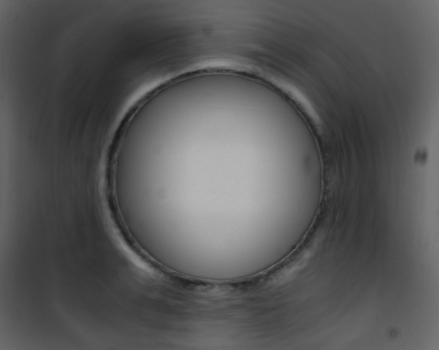 X0000101950991200807171129