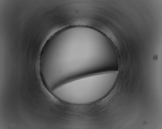 X0000101950992200807171129