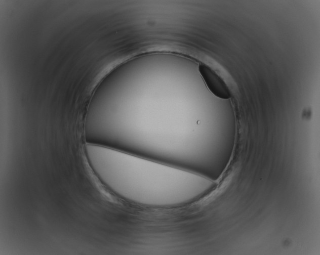 X0000101950993200807171129