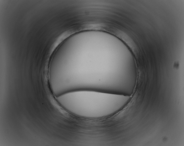 X0000101950994200807171129