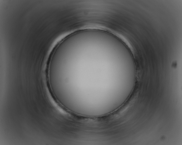 X0000101950995200807171129