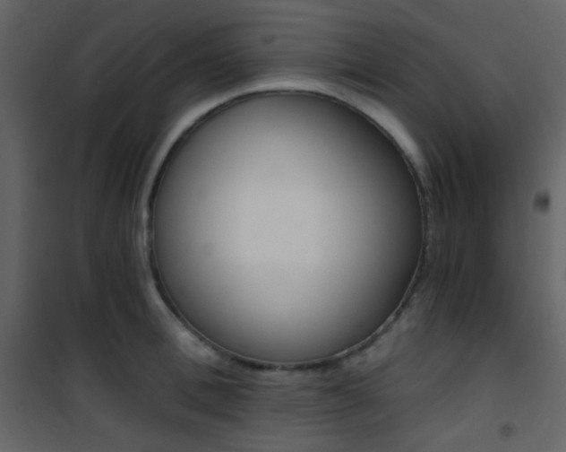X0000101950996200807171129