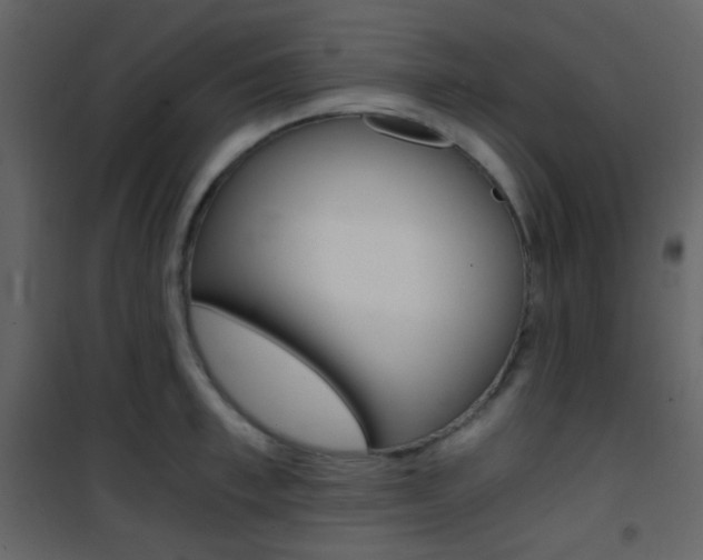 X0000101950997200807171129