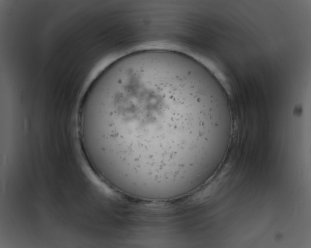 X0000101950998200807171129