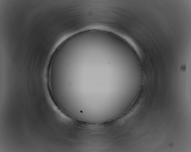 X0000101950999200807171129