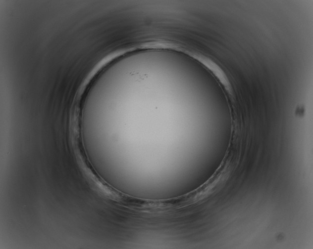 X0000101951000200807171129