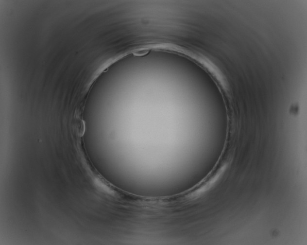 X0000101951001200807171129
