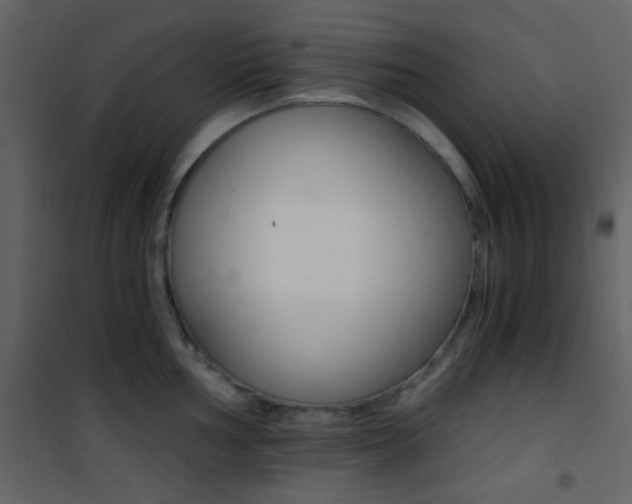 X0000101951002200807171129