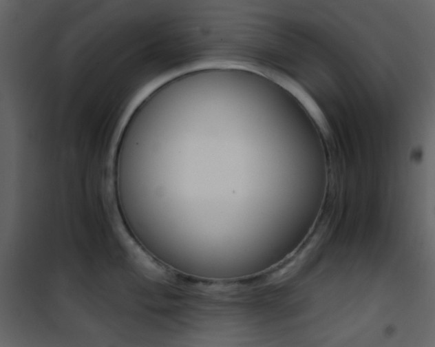 X0000101951004200807171129