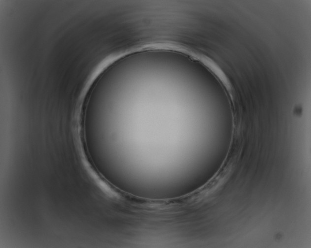 X0000101951005200807171129