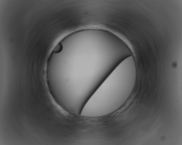 X0000101951006200807171129