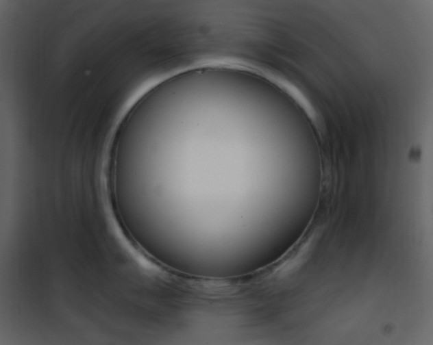 X0000101951007200807171129