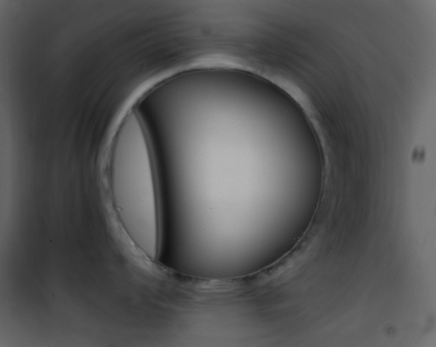 X0000101951008200807171129