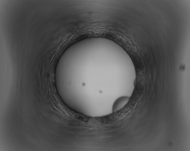 X0000101951009200807171128