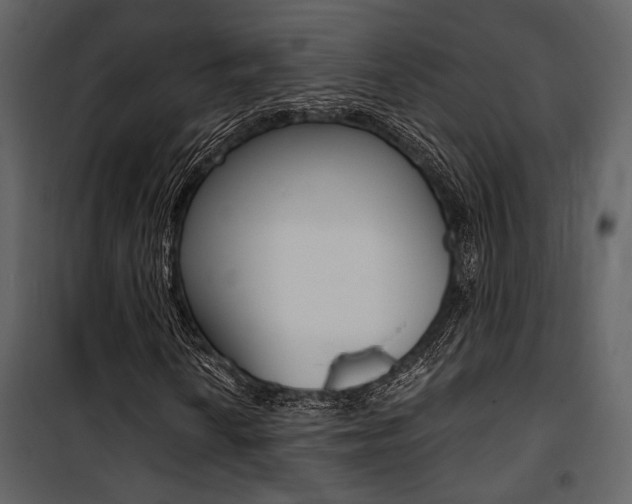 X0000101951010200807171128