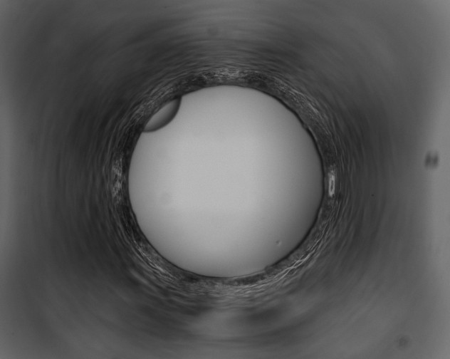 X0000101951011200807171128