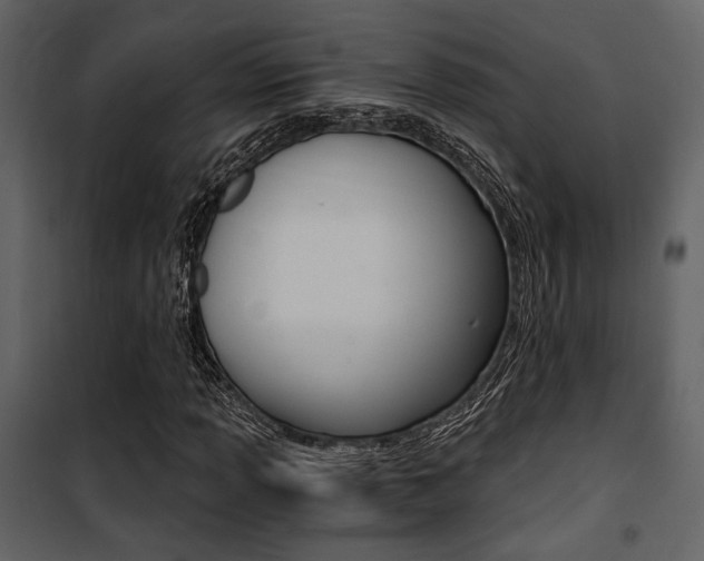 X0000101951013200807171128