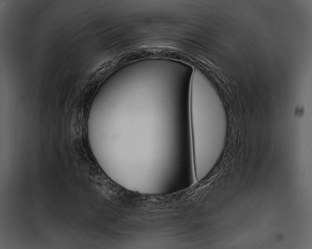 X0000101951014200807171128
