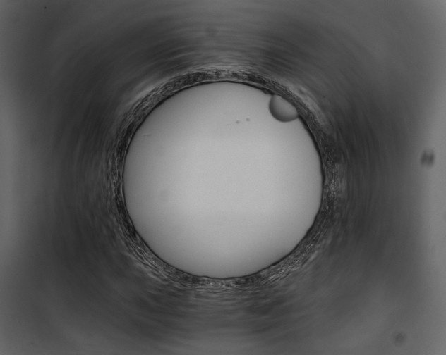 X0000101951015200807171128