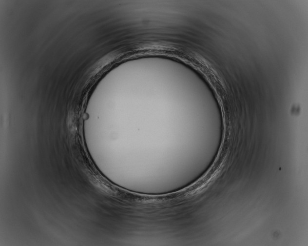 X0000101951017200807171128