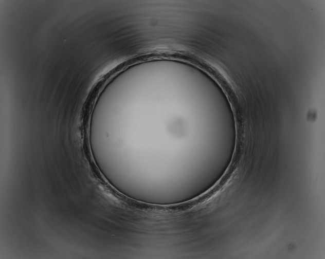 X0000101951018200807171128