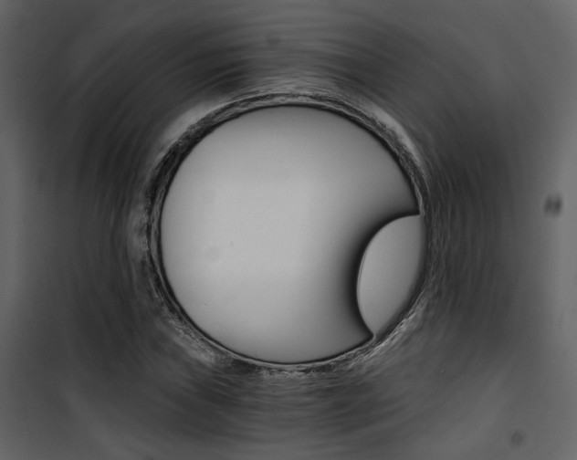 X0000101951019200807171128