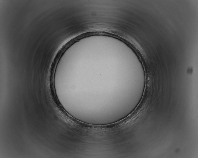 X0000101951020200807171128