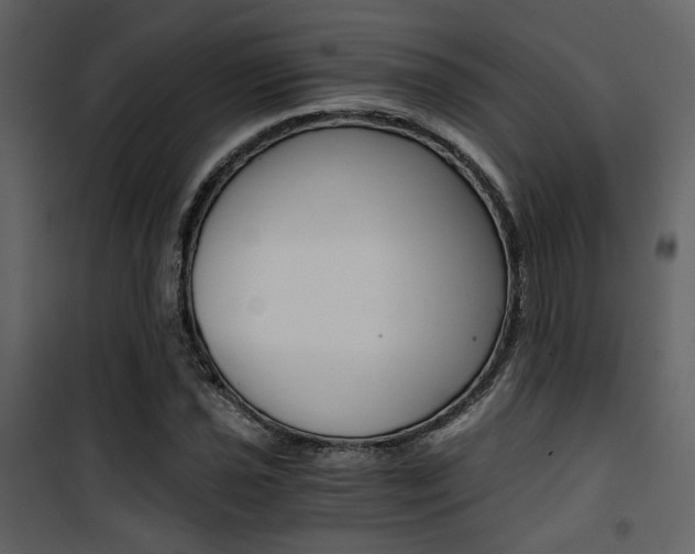 X0000101951021200807171128