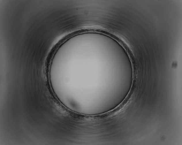 X0000101951022200807171128
