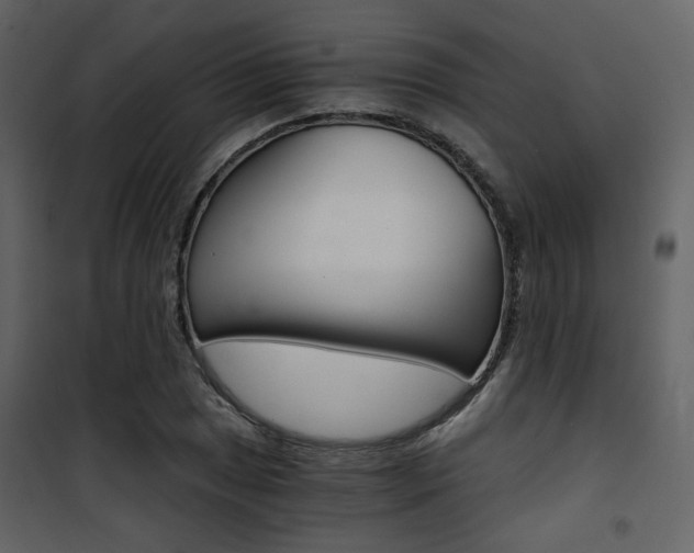 X0000101951025200807171128