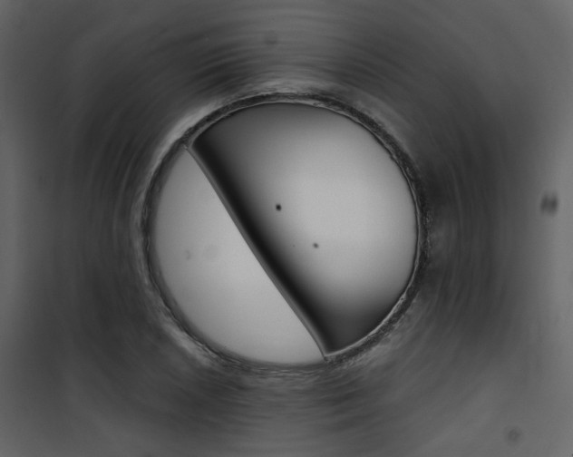 X0000101951026200807171128