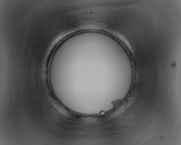 X0000101951027200807171128
