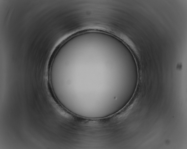 X0000101951028200807171128