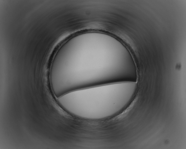 X0000101951029200807171128