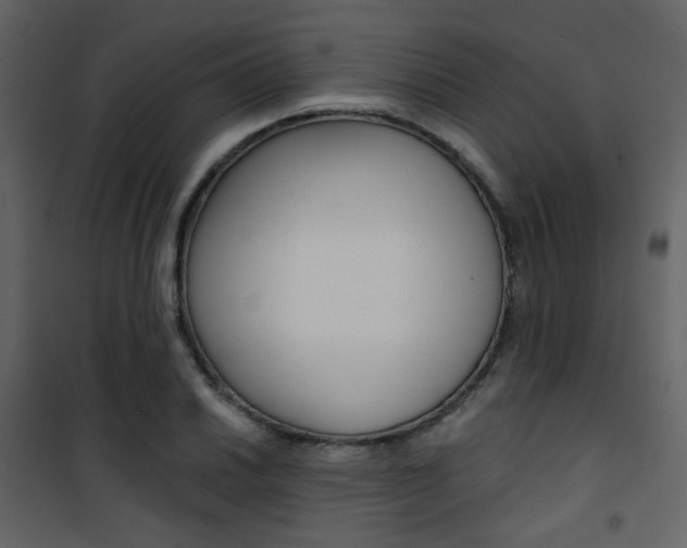 X0000101951030200807171128