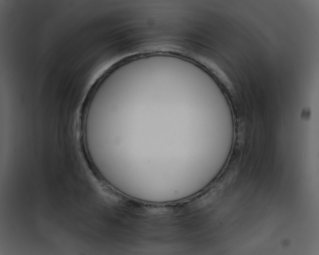 X0000101951031200807171128