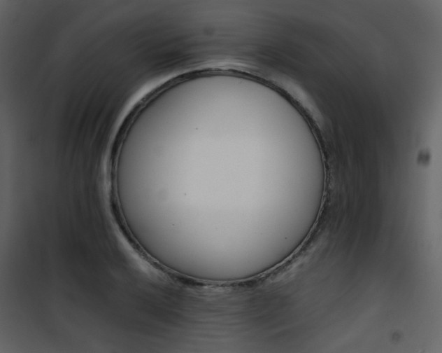 X0000101951032200807171128