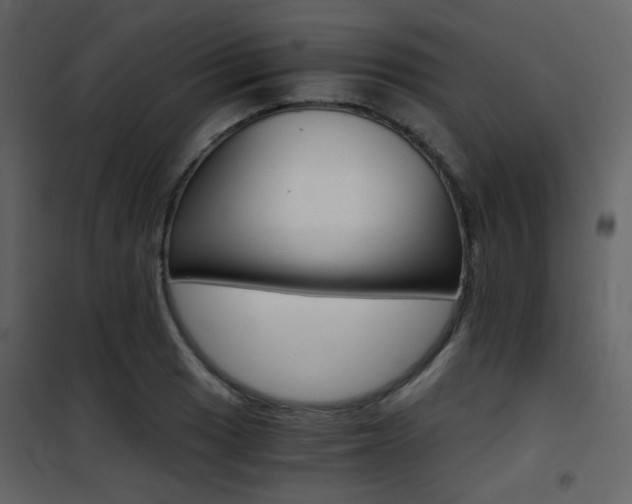 X0000101951033200807171128