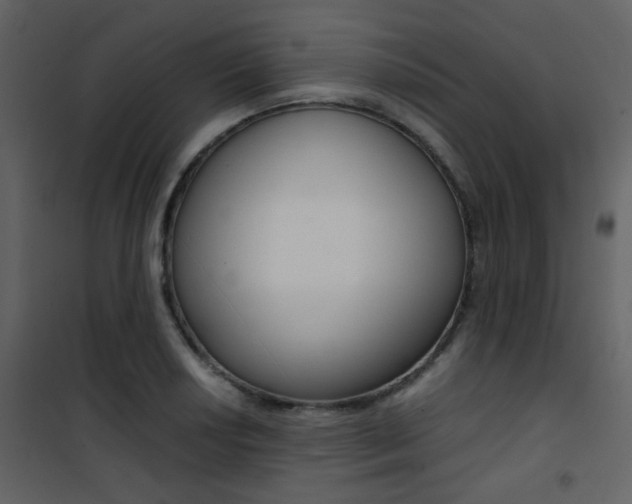 X0000101951034200807171128