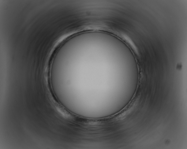 X0000101951035200807171128