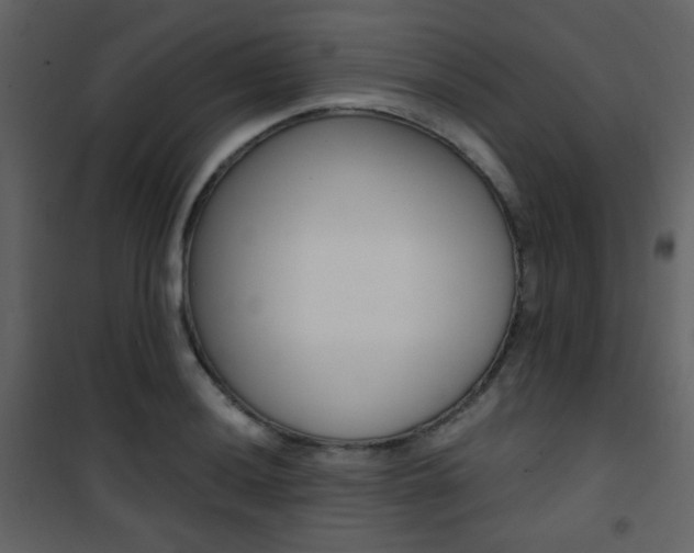X0000101951036200807171128