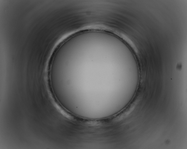 X0000101951037200807171128