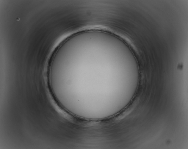 X0000101951038200807171128
