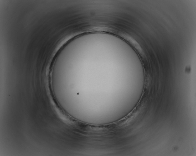 X0000101951039200807171128