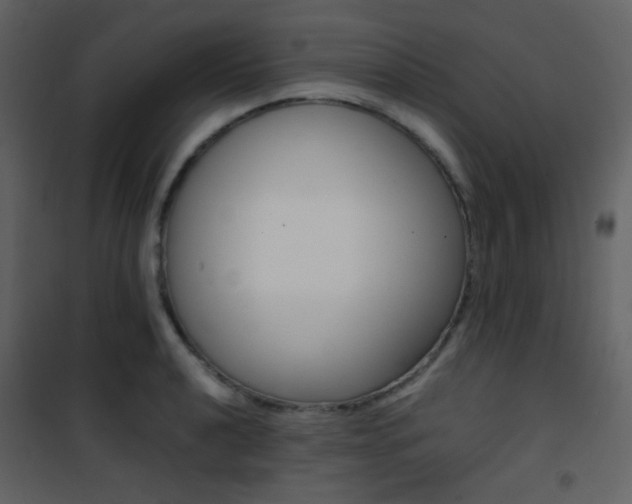 X0000101951040200807171128